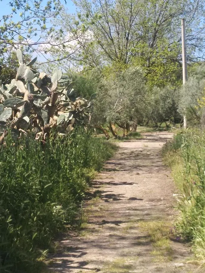 El Patio Andalu Bed & Breakfast Ardales Spain