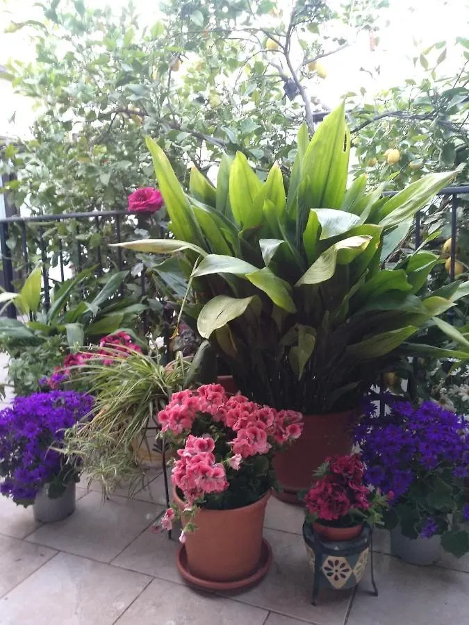 El Patio Andalu Bed & Breakfast Ardales